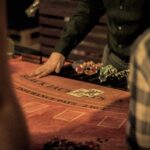 dusan-kipic-qtD-aRQtMuc-unsplash