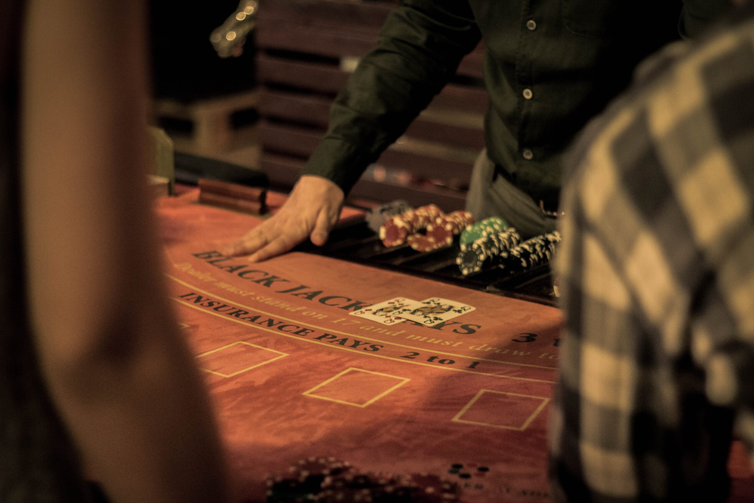 dusan-kipic-qtD-aRQtMuc-unsplash